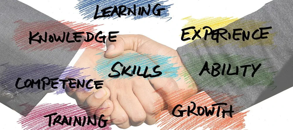 Bilan de compétences d’un collaborateur